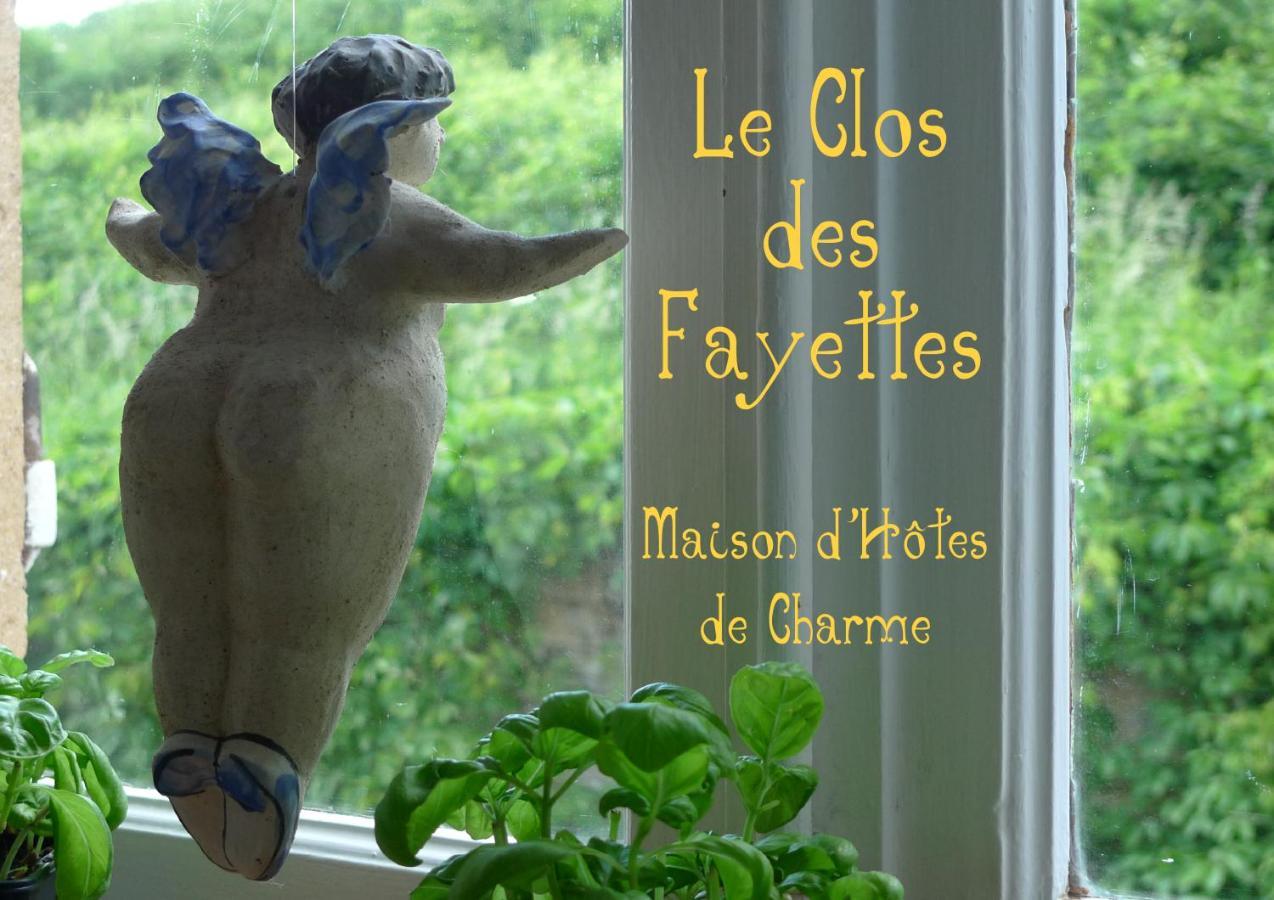 Le Clos des Fayettes Theize Extérieur photo