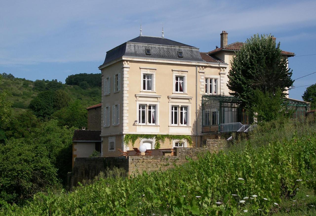 Le Clos des Fayettes Theize Extérieur photo